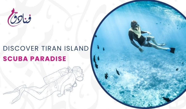 Discover The Hidden Gem: Tiran Island - A Scuba Diver's Paradise Near Sharm El Sheikh