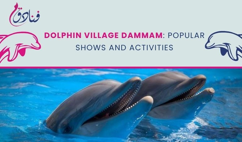 Dolphin Village Dammam: Popular Shows And Activities